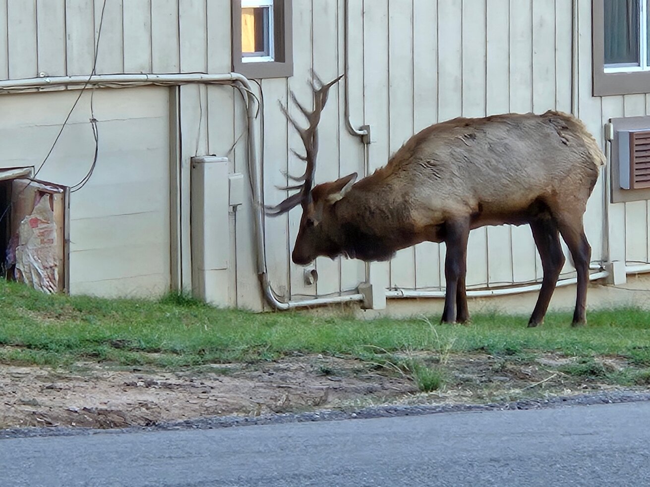Estes Mountain Inn-官方