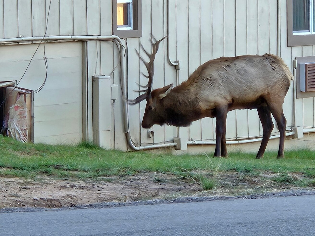 Estes Mountain Inn主图