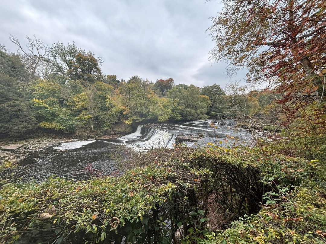 Aysgarth Falls-Aysgarth必去景点