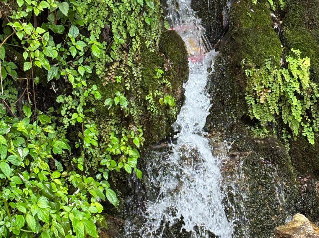 Valley Voyagers-Kedarnath必去景点