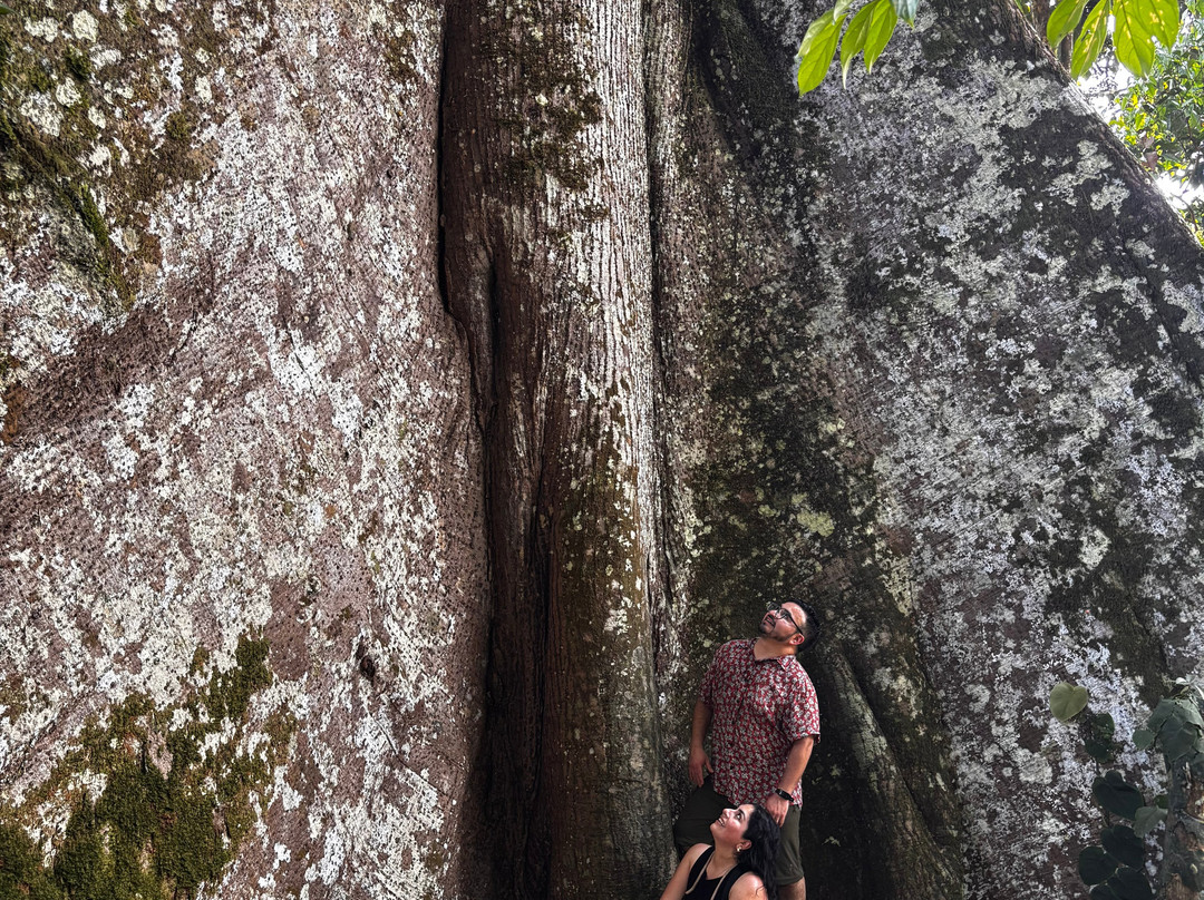 Iquitos Experience Tours-伊基托斯必去景点