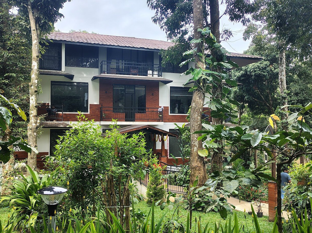 VANYA by Citrine主图