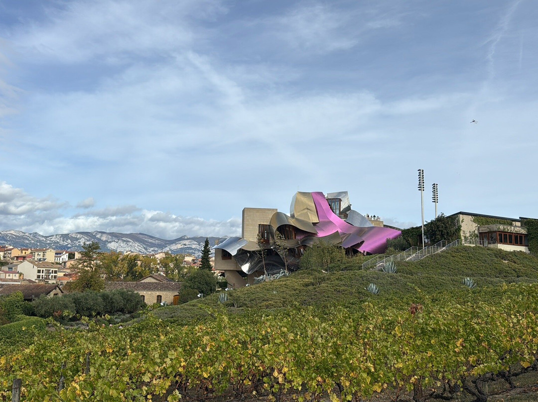 Bodegas Marques de Riscal-Elciego必去景点