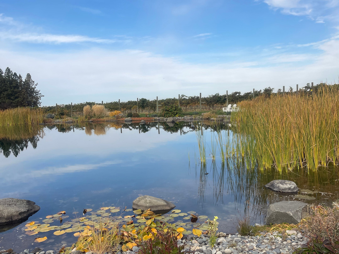 Abeja-瓦拉瓦拉必去景点
