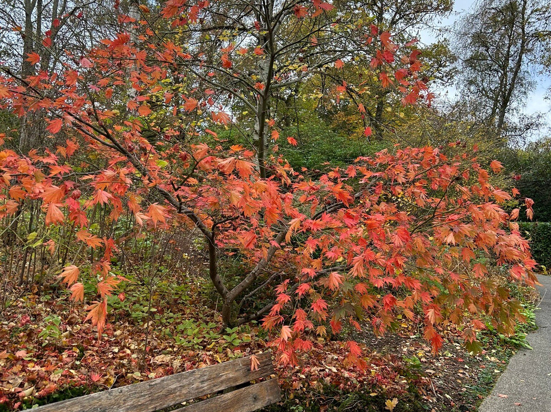 Explorers' Garden at Pitlochry Theatre-皮特洛赫里必去景点