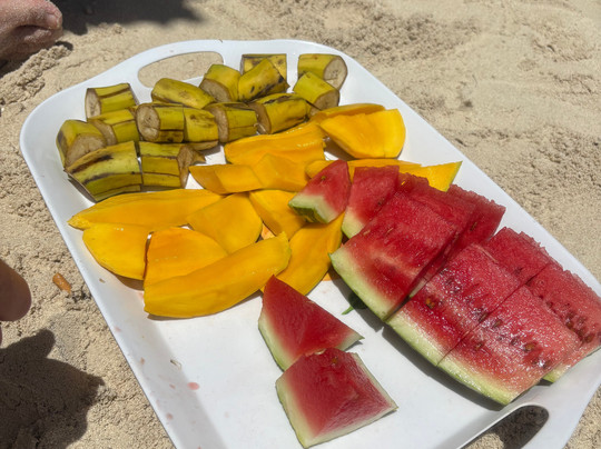 Kenya Safari Lion-瓦塔木必去景点