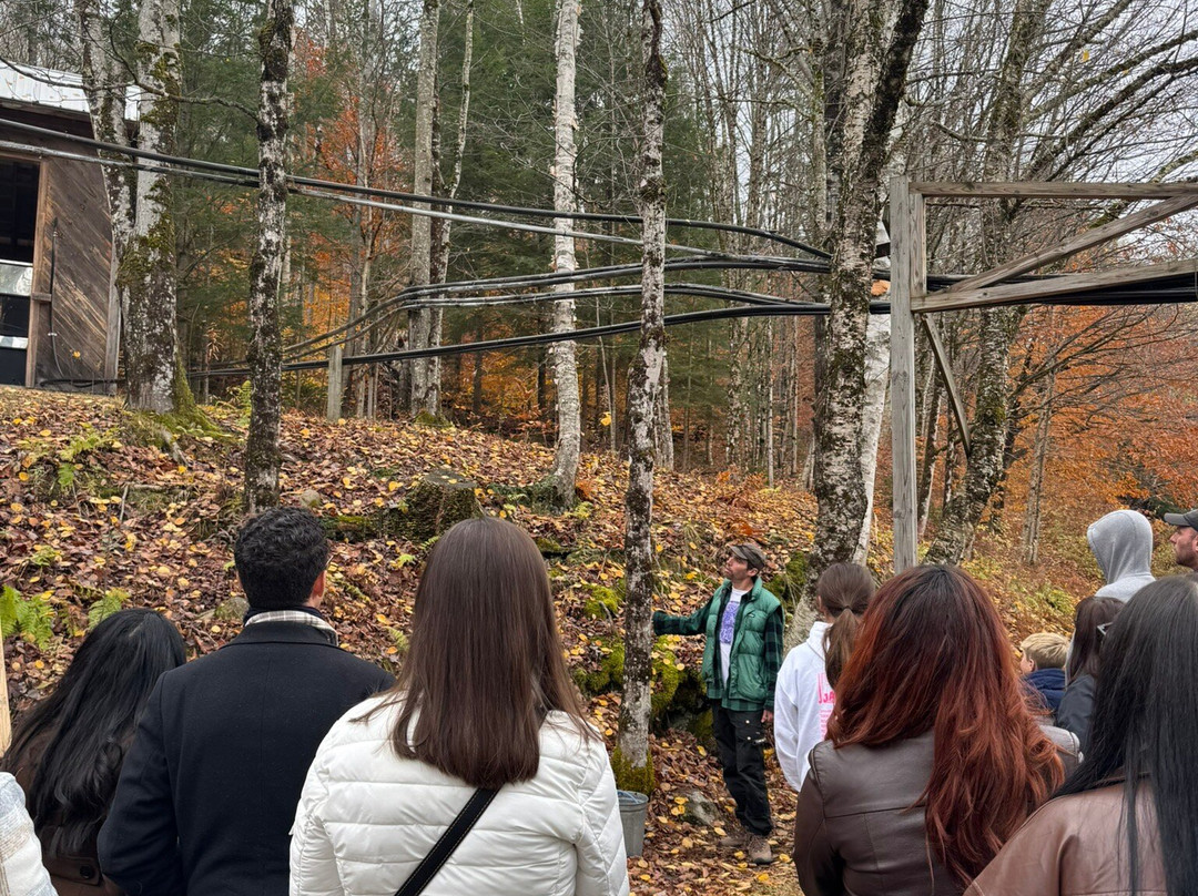 Nebraska Knoll Sugar Farm-斯托必去景点