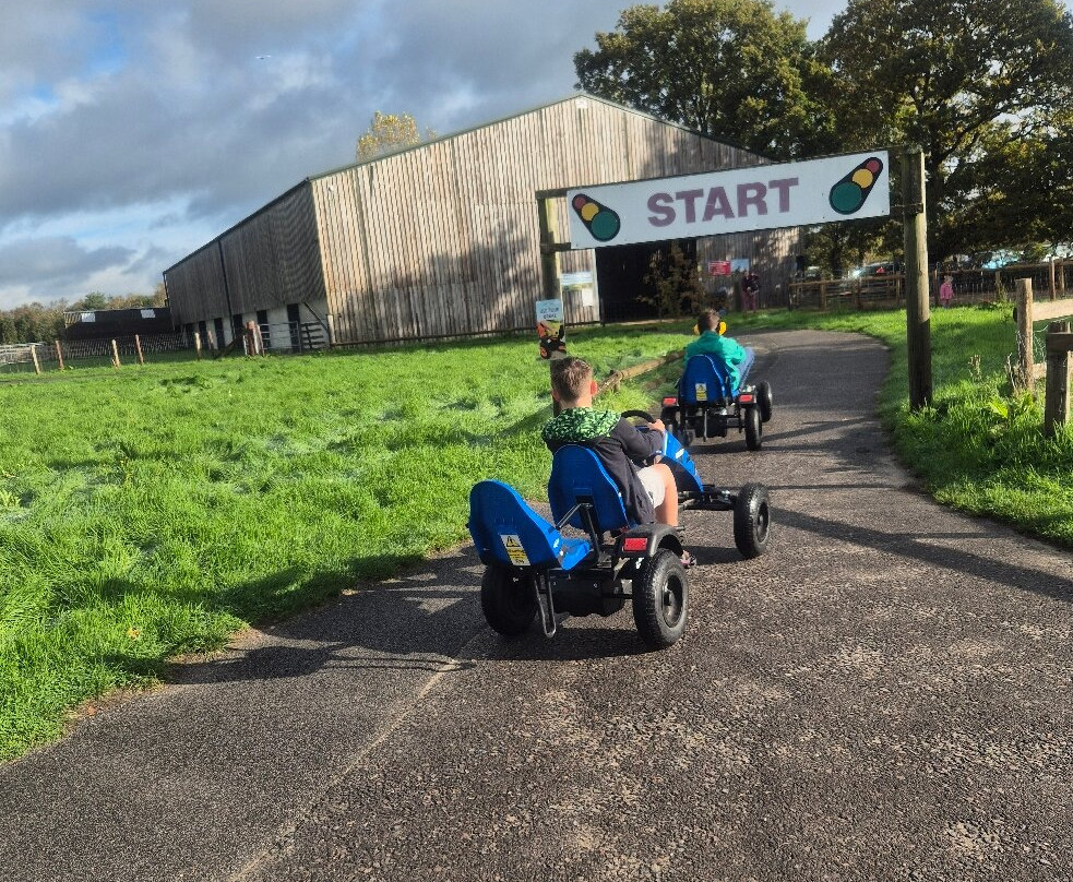 Farmer Palmer's Farm Park-普尔必去景点