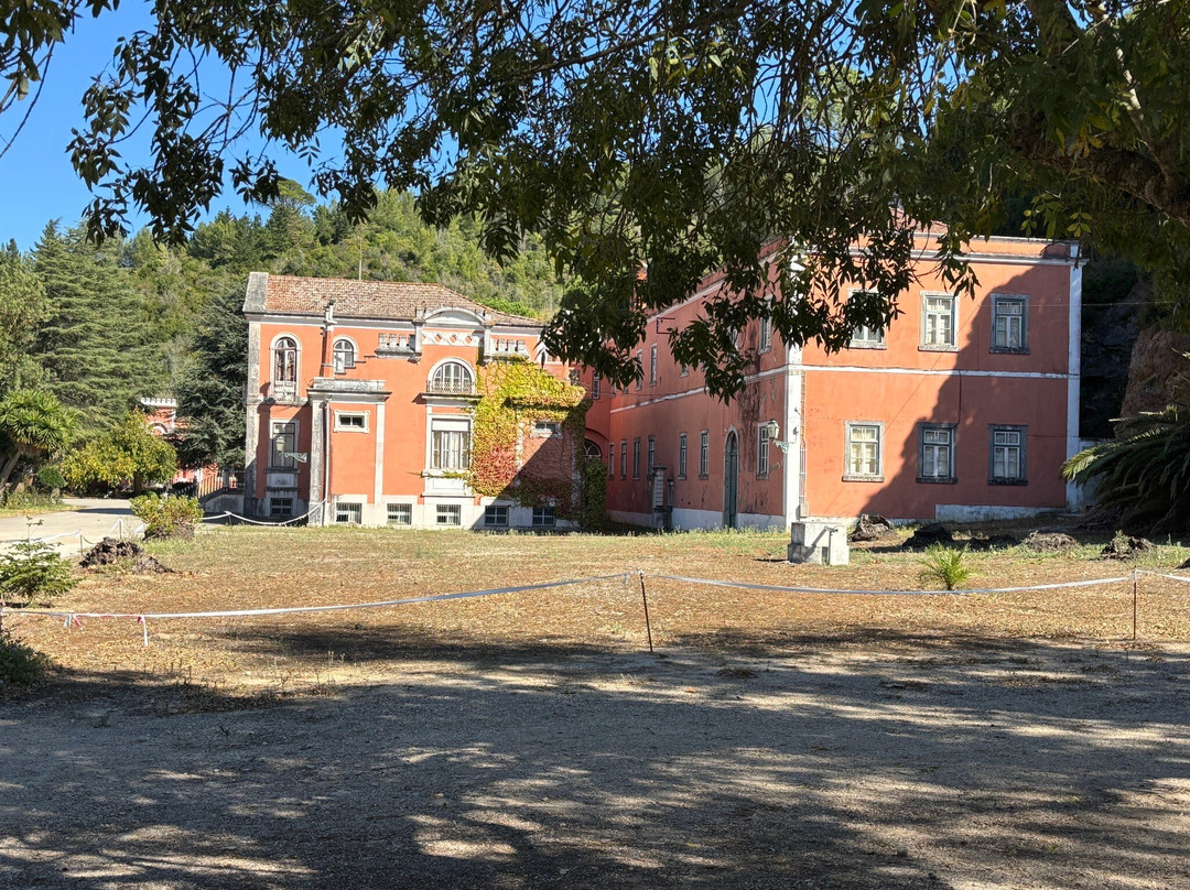 Termas de Cucos-托雷斯韦德拉什必去景点