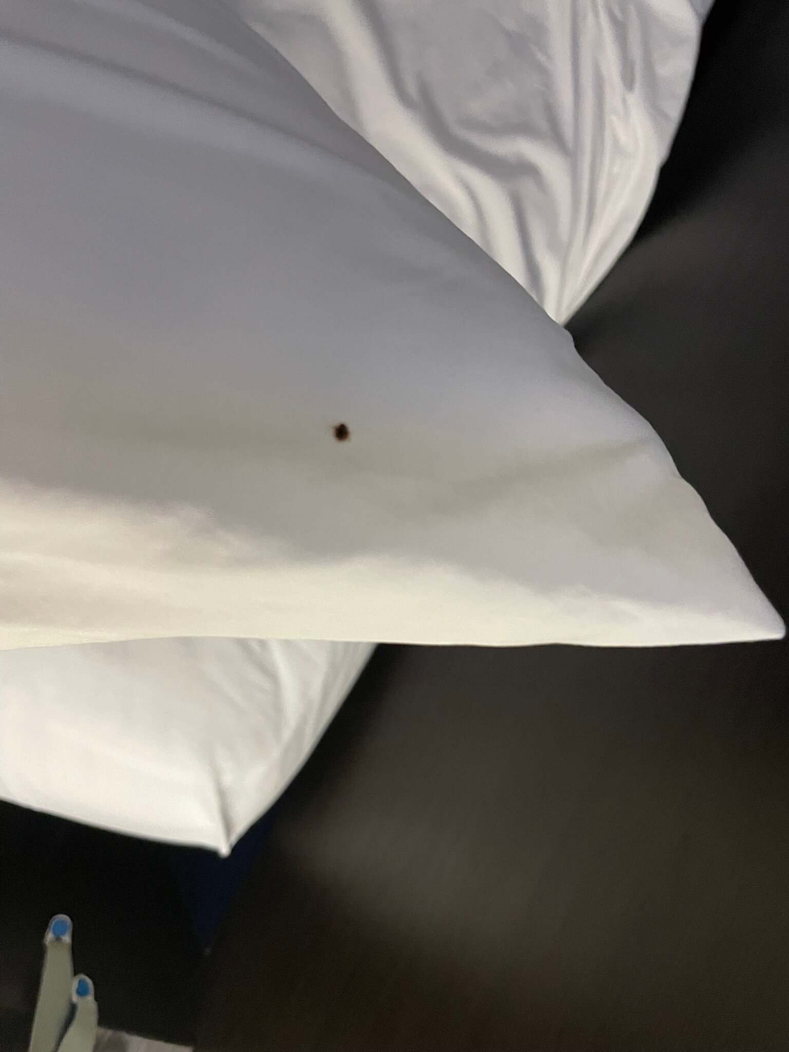 Holiday Inn & Suites Regina By IHG-官方