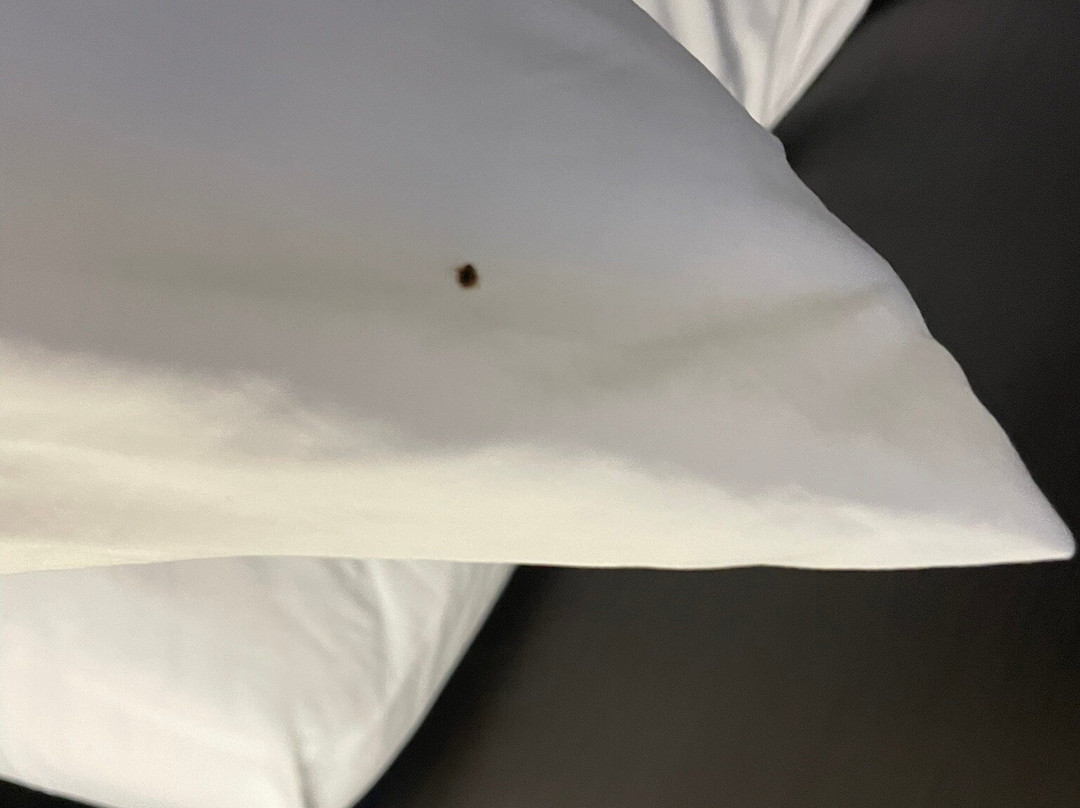 Holiday Inn & Suites Regina By IHG主图