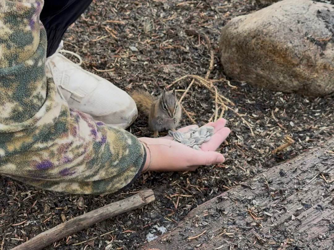 St. Elmo-Nathrop必去景点
