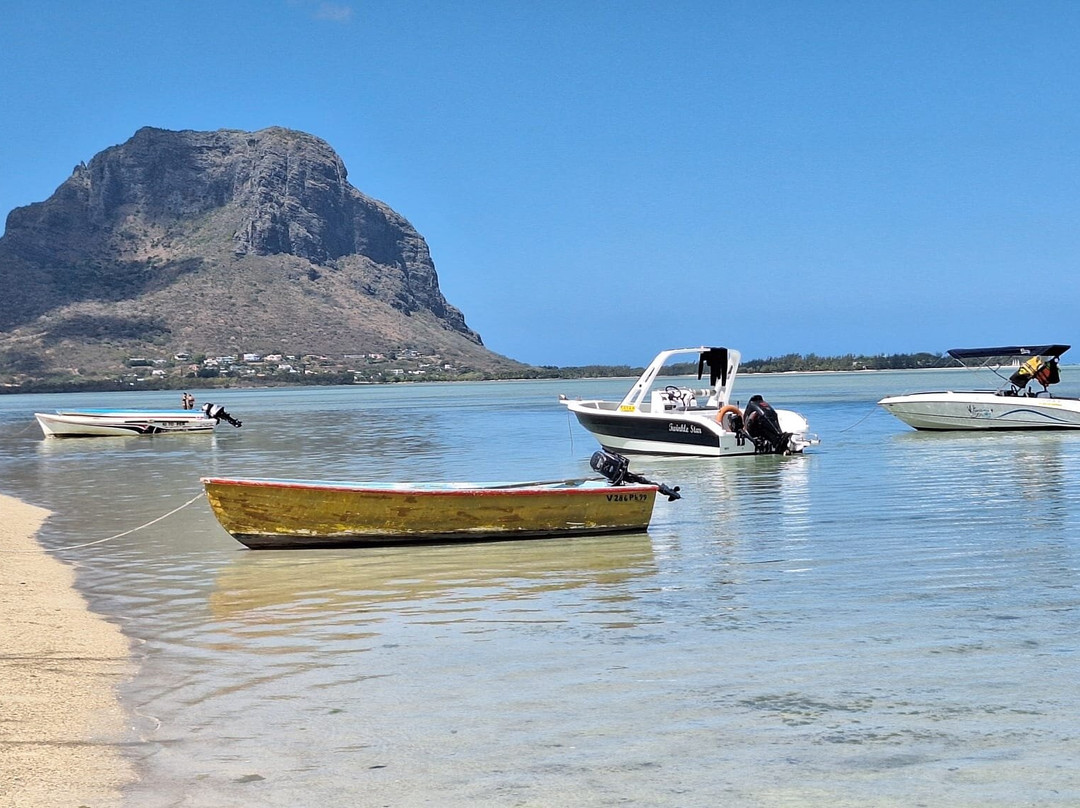Whales Watching & Swimming With Dolphins In Mauritius-塔玛琳必去景点