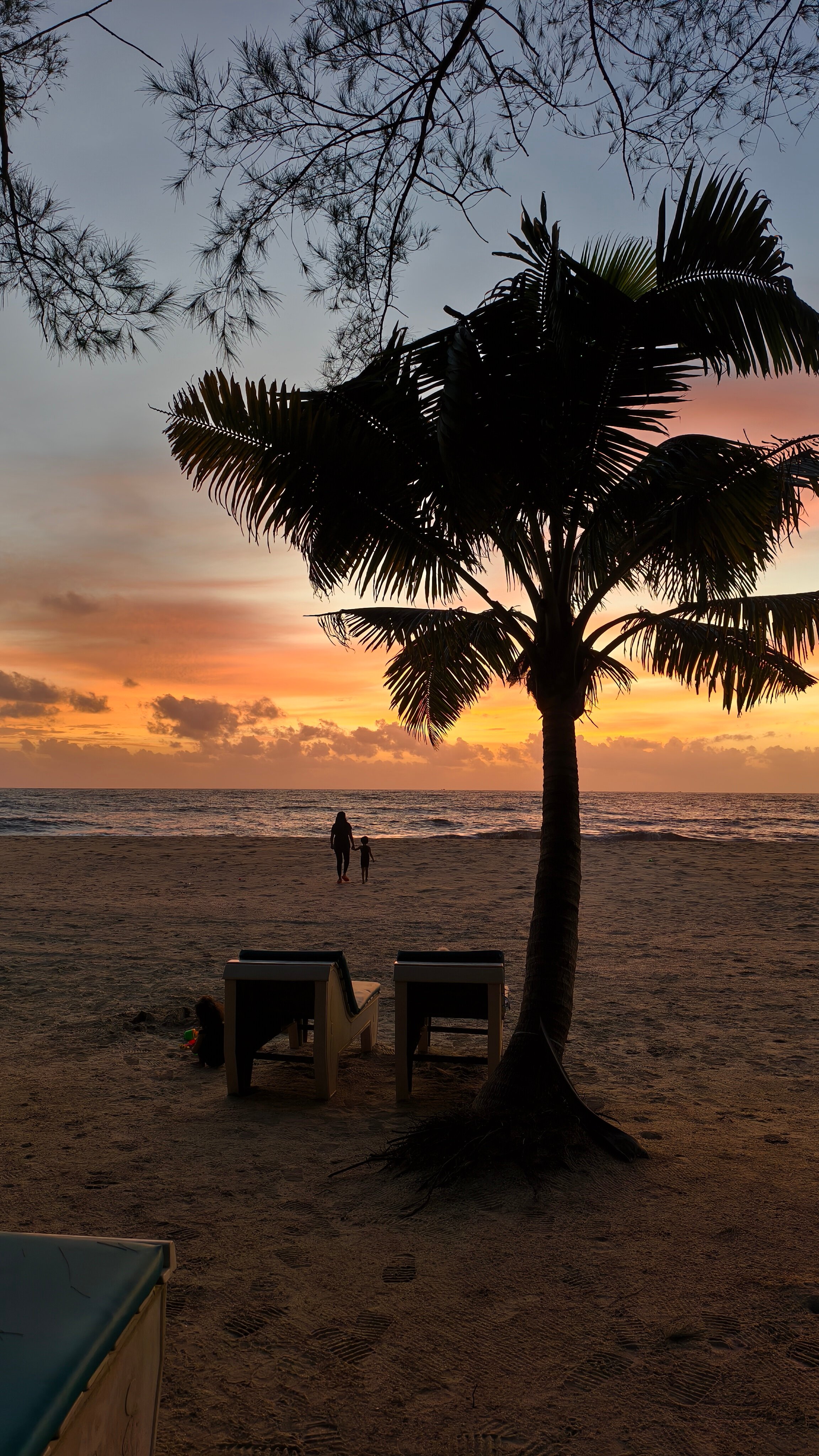 Seclude Marari Sands, Kerala-官方