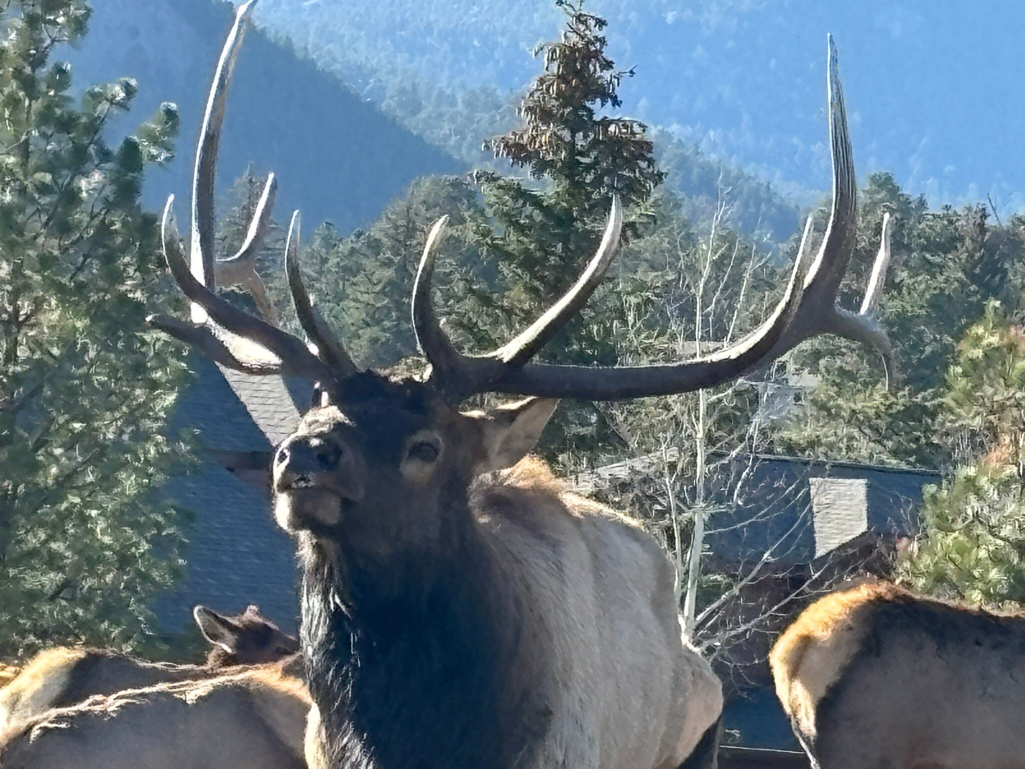 Murphy's River Lodge-官方