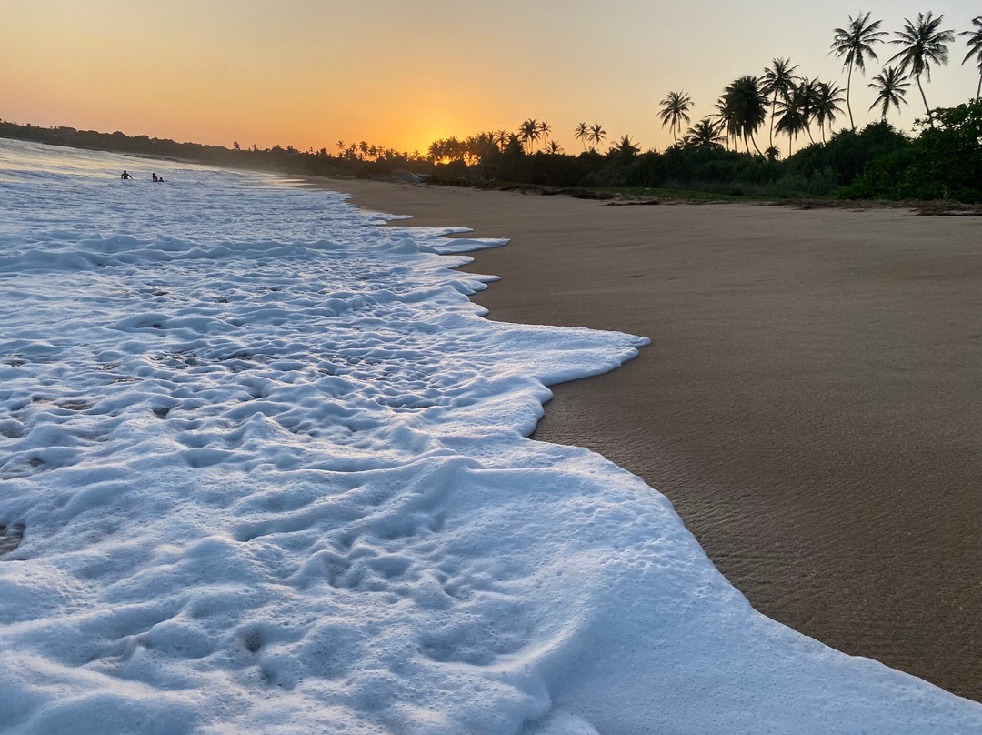 Sleeping Elephant Beach Resort主图