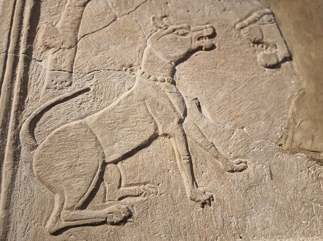 National Roman Legion Museum-Caerleon必去景点