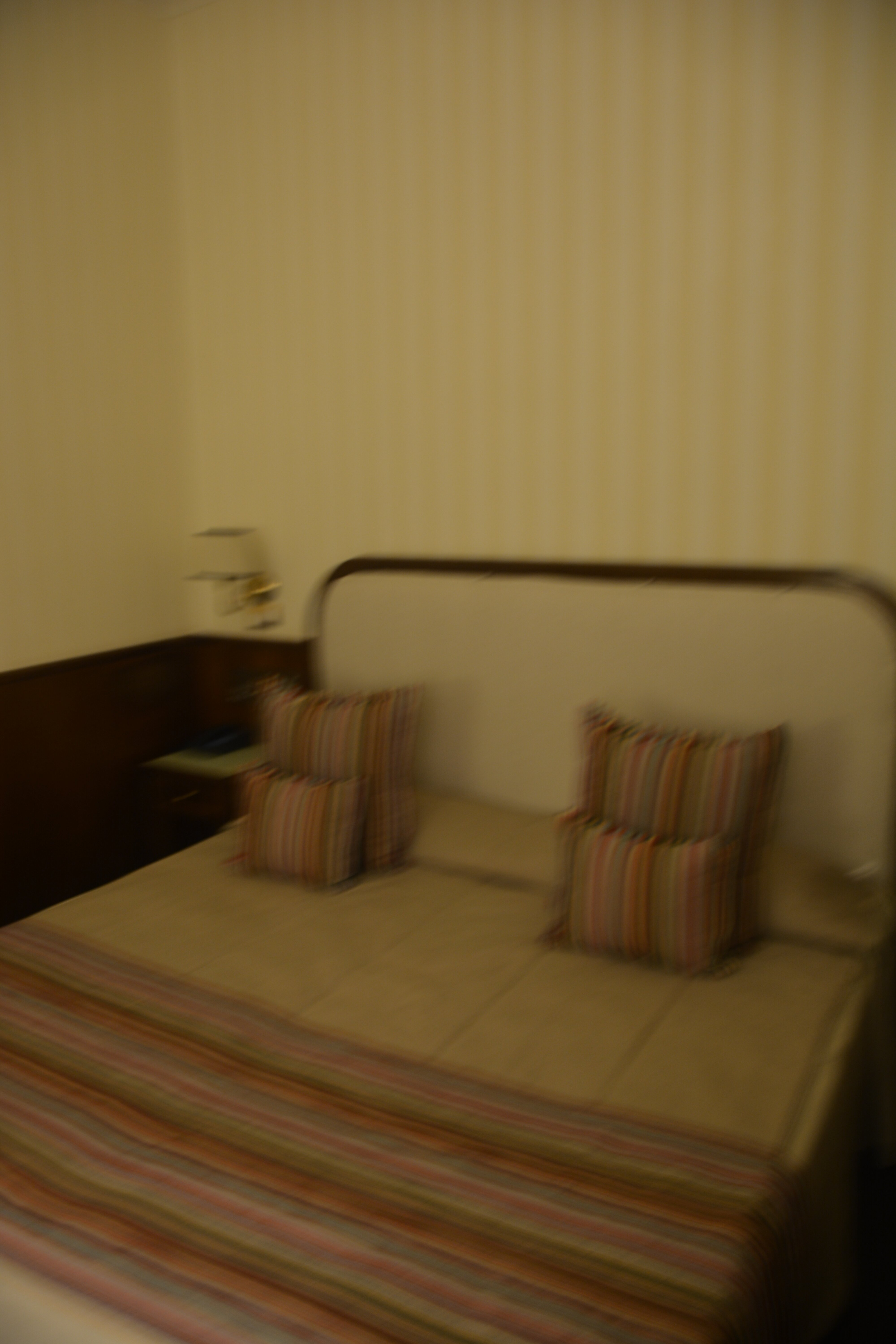 巴斯堤亚尼大酒店-客卧