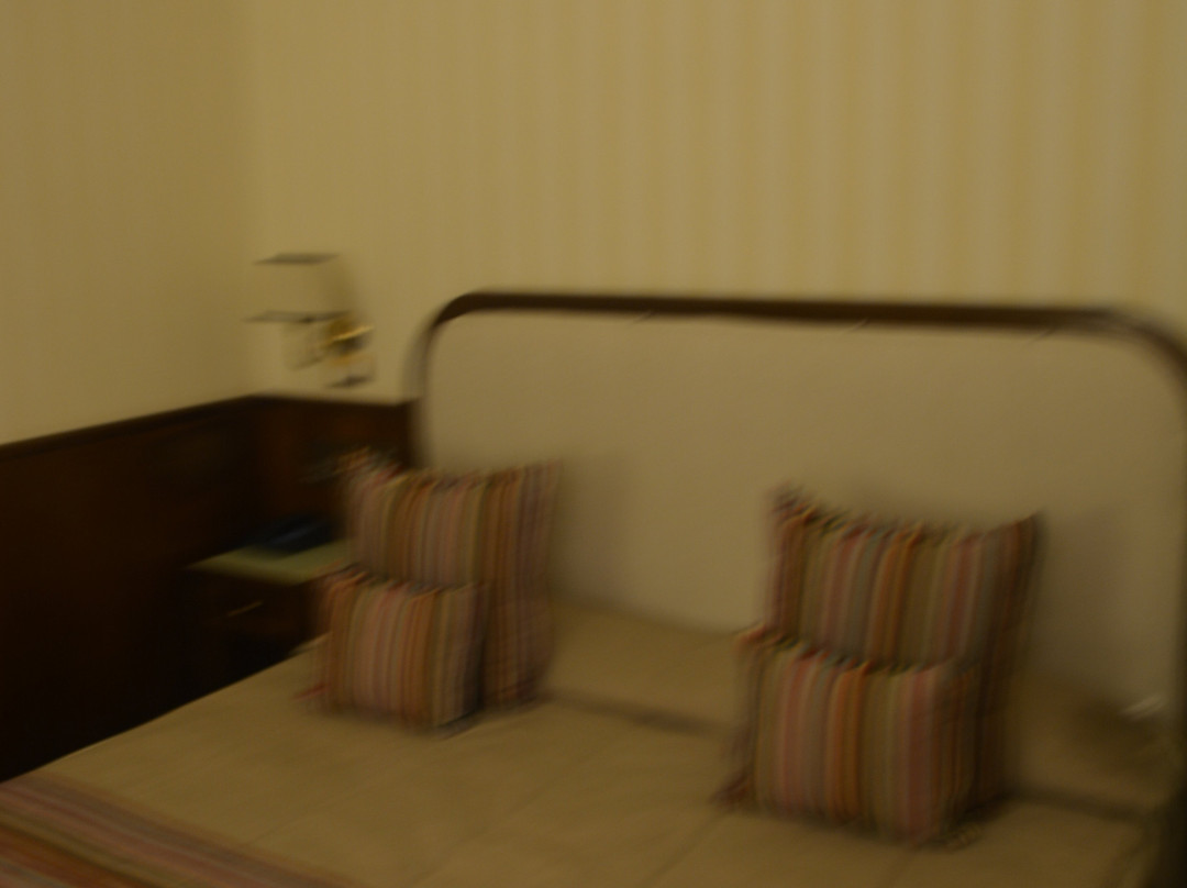 巴斯堤亚尼大酒店主图