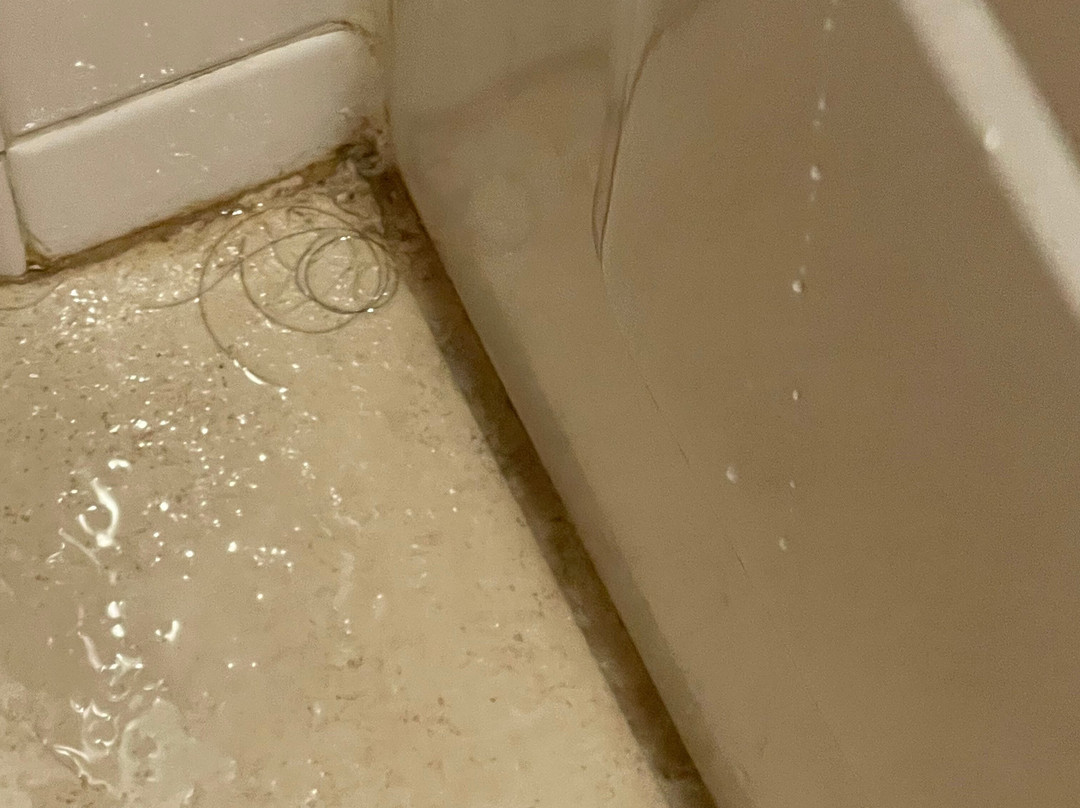 Kahler Inn & Suites主图