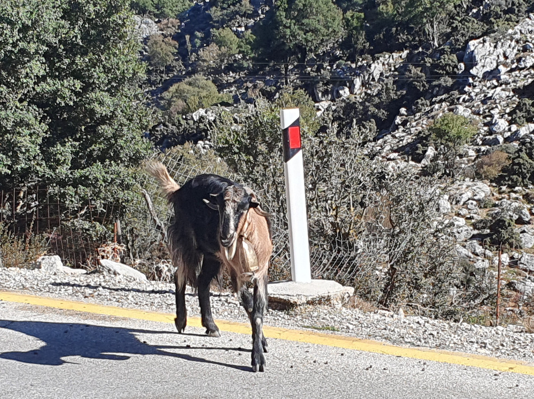 Neos Omalos Hotel主图