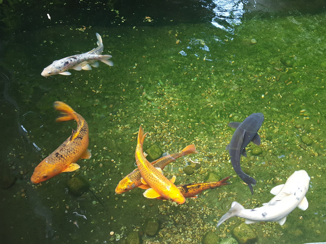 Dehner Flower Park-Rain必去景点