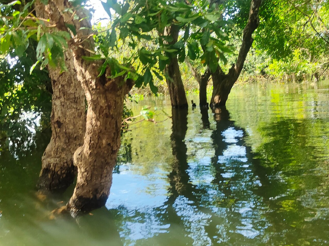 Ron Tuk Tuk Driver-暹粒必去景点