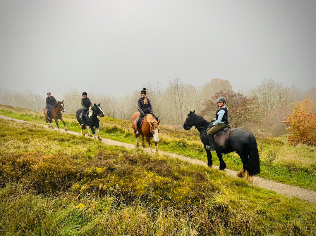 Boltby Pony Trekking-瑟斯克必去景点