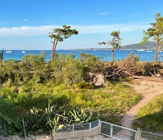 Le Calvi Hôtel主图