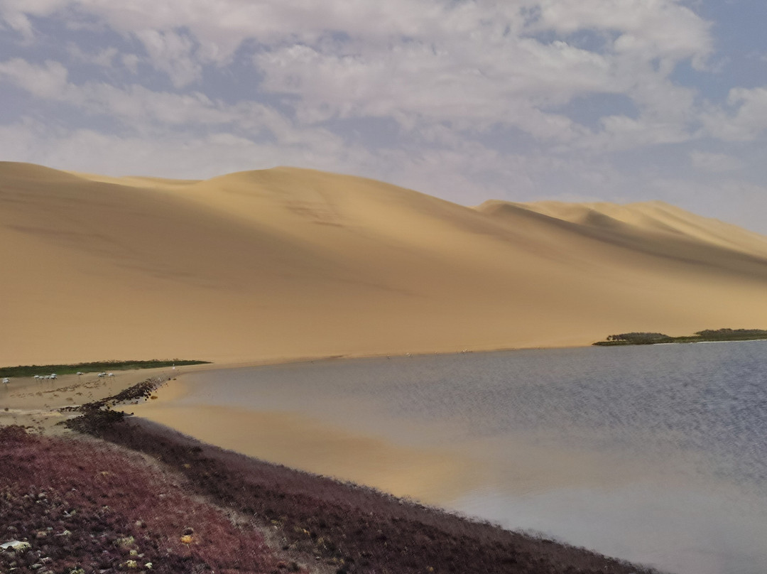 Turnstone Tours-斯瓦科普蒙德必去景点