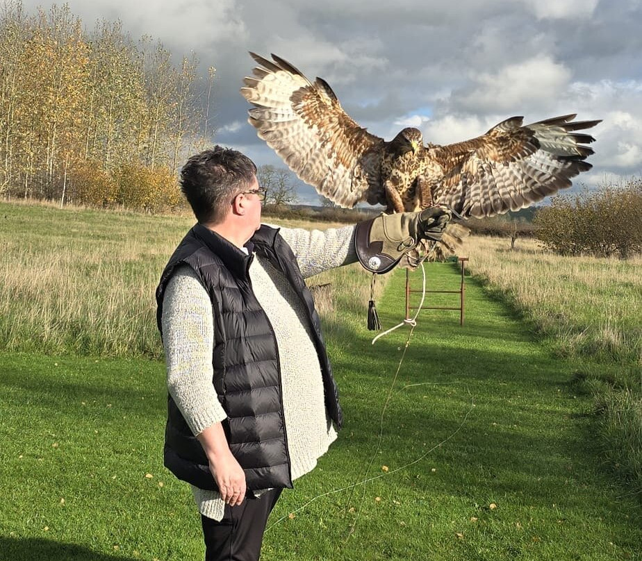 Bird on the Hand Falconry Experiences-Church Langton必去景点