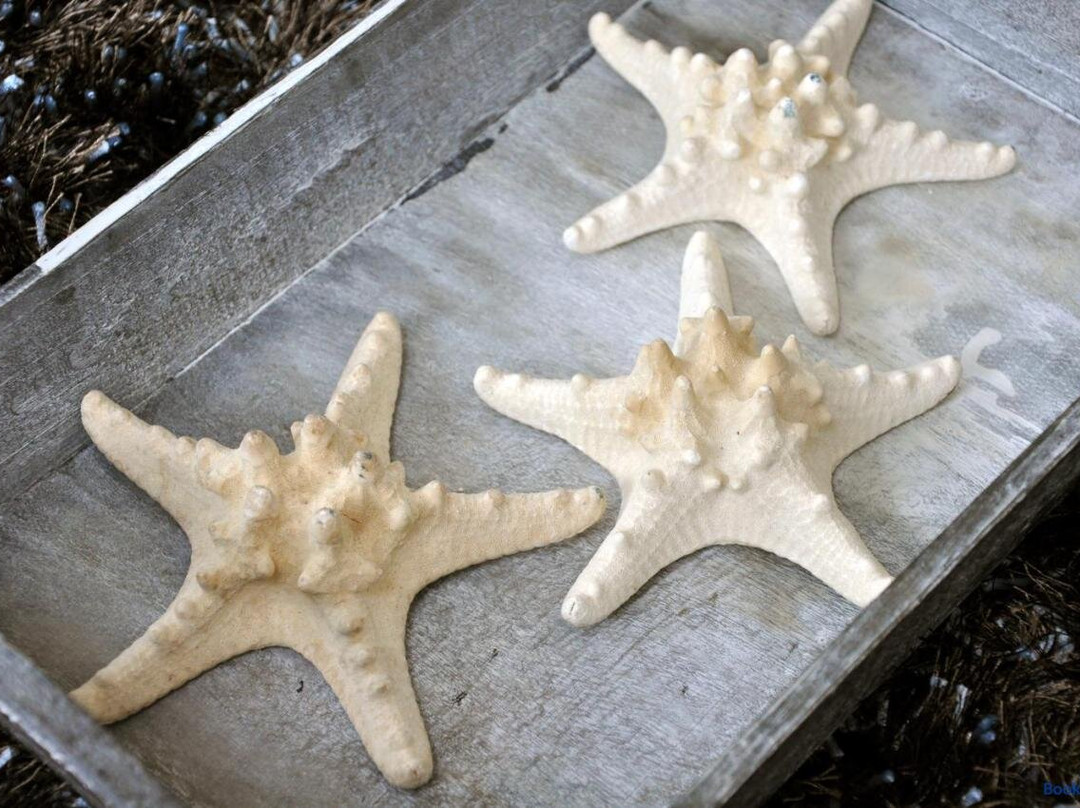 Oosterend酒店住宿-Havenzicht Texel