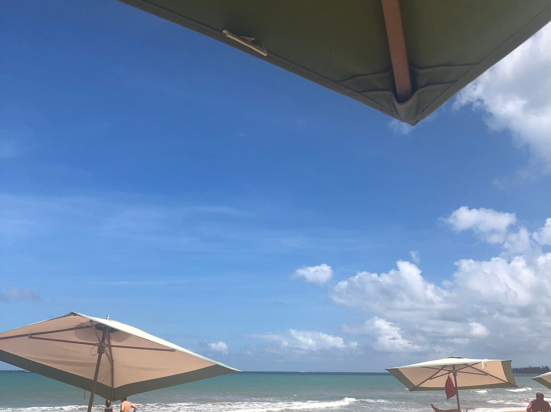 Margaritaville Vacation Club At Wyndham Rio Mar主图