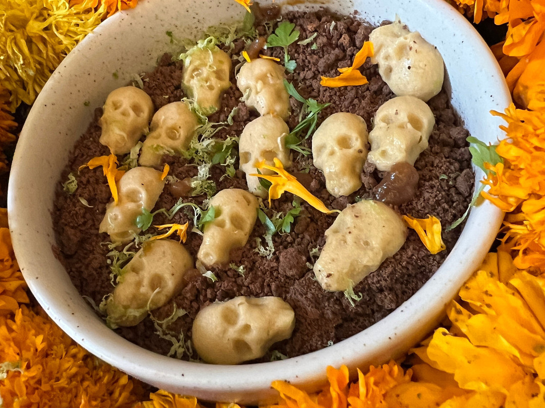 Explora Latin America-墨西哥城必去景点