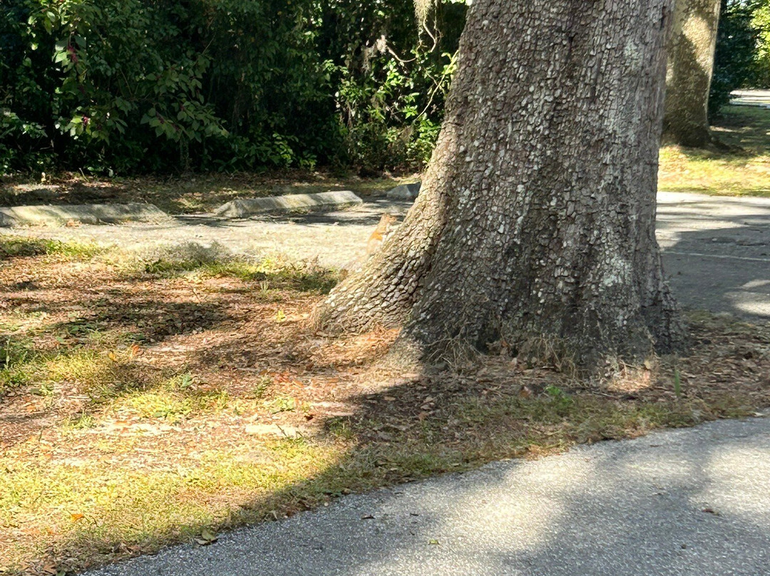 Magnolia Park-Apopka必去景点