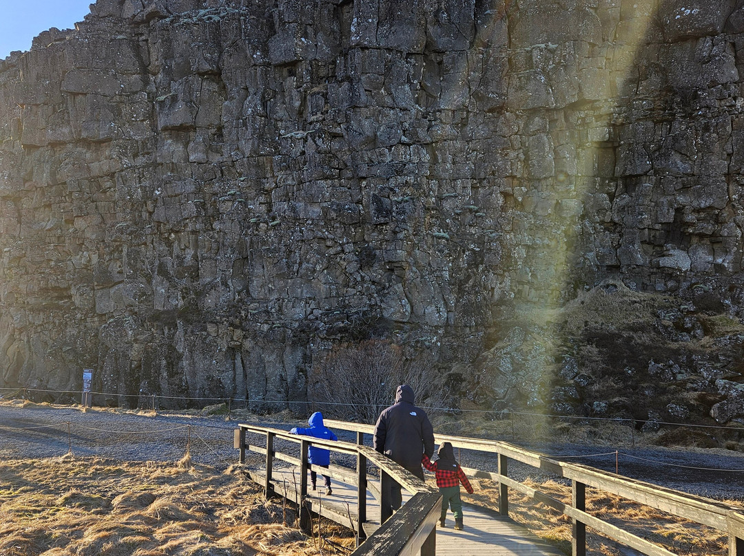 Activity Iceland-雷克雅未克必去景点