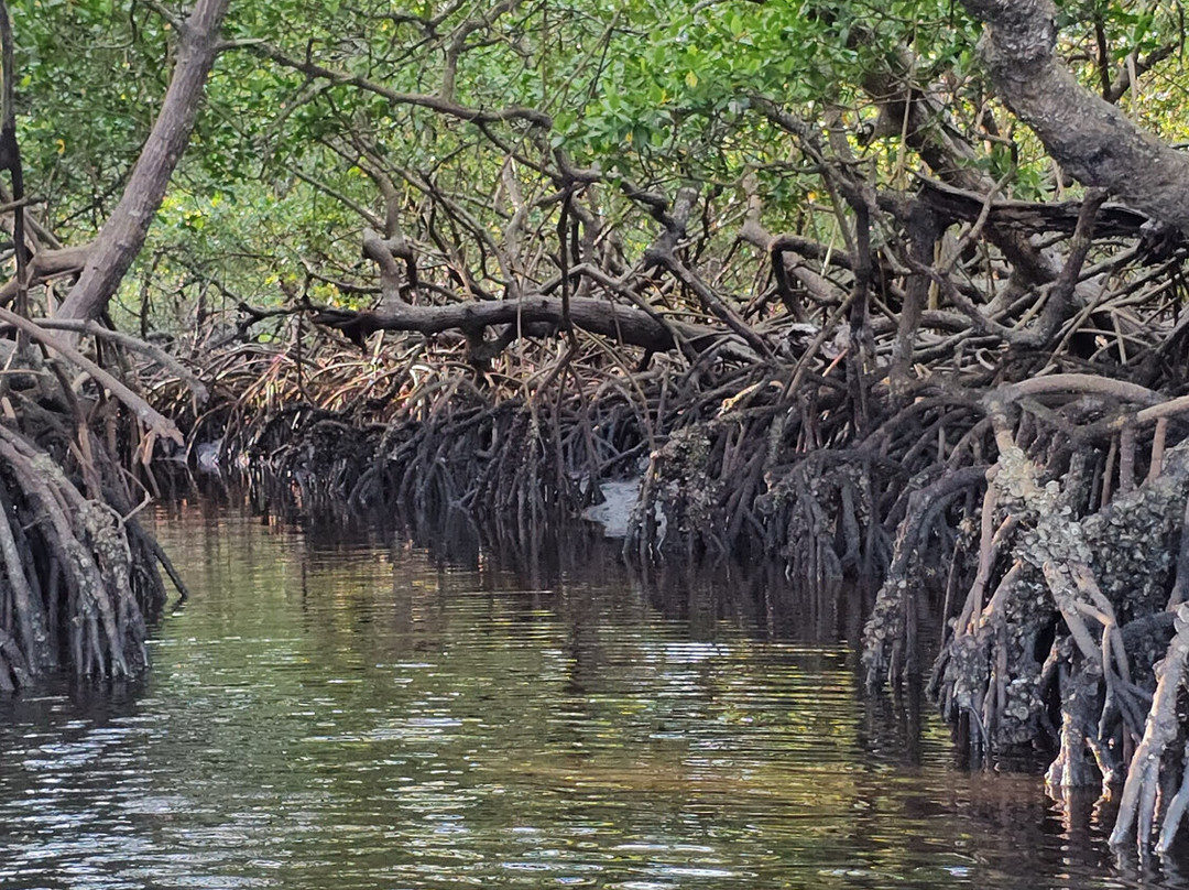 Ecomar Boipeba Ecoturismo Marinho-Ilha de Boipeba必去景点