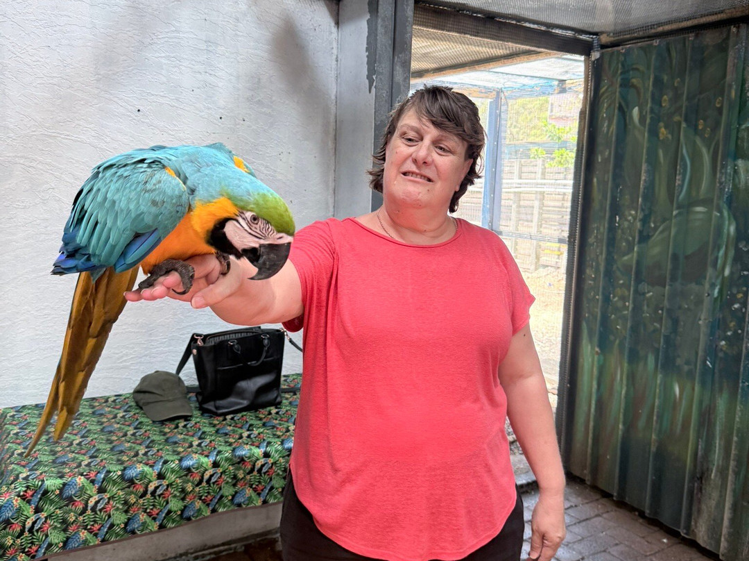 Shark And Ray Rescue Centre-Bobs Farm必去景点