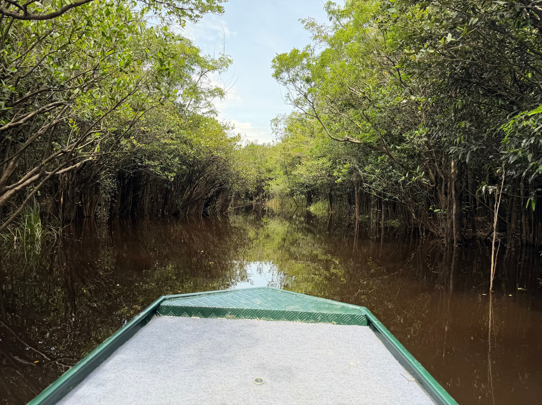 Nomadic Waters Brazil-玛瑙斯必去景点