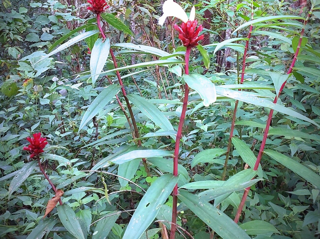 Blue Daily Elephant Care Sanctuary-清迈必去景点