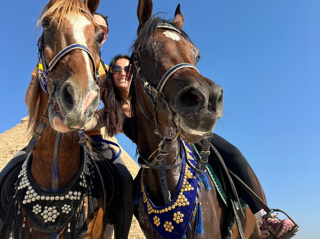 Desert Dreams-卢克索必去景点