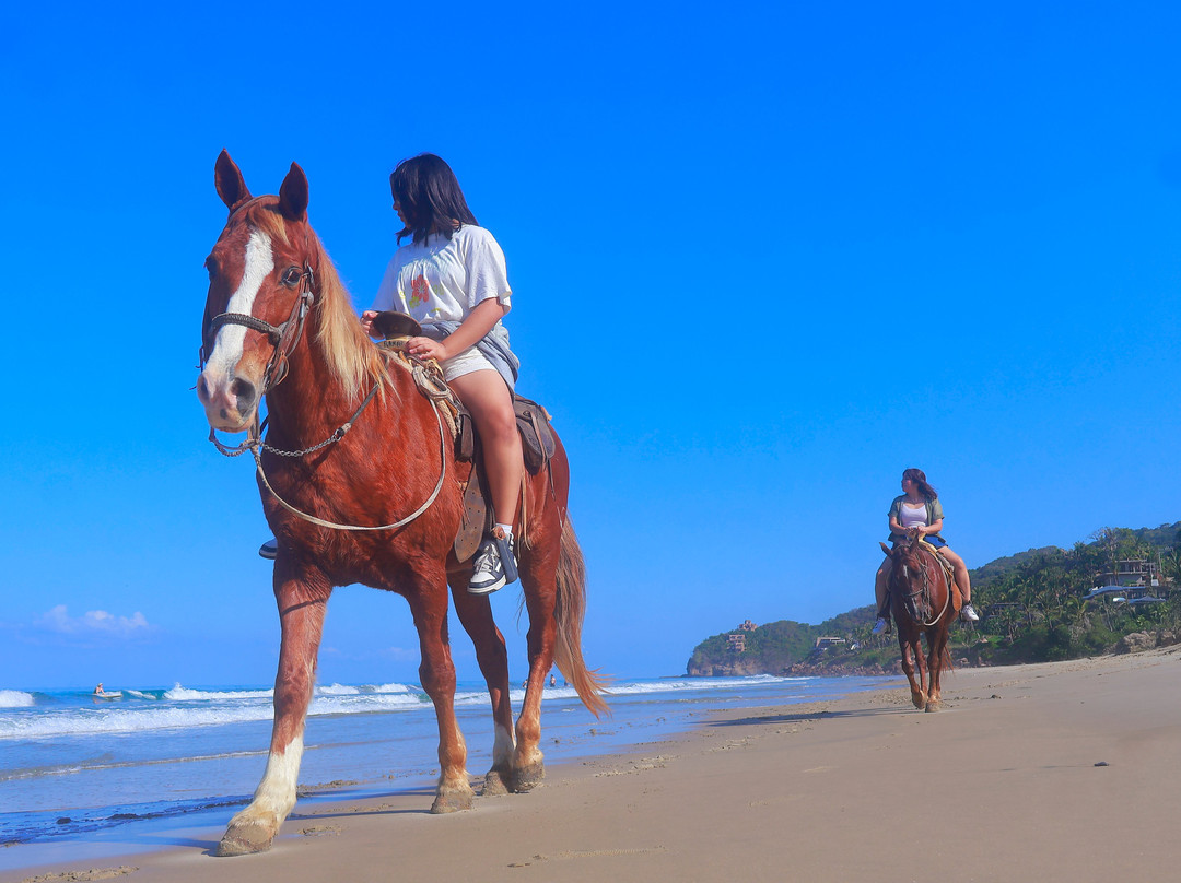 Vista Paraiso - Day Tours and Activities-Higuera Blanca必去景点