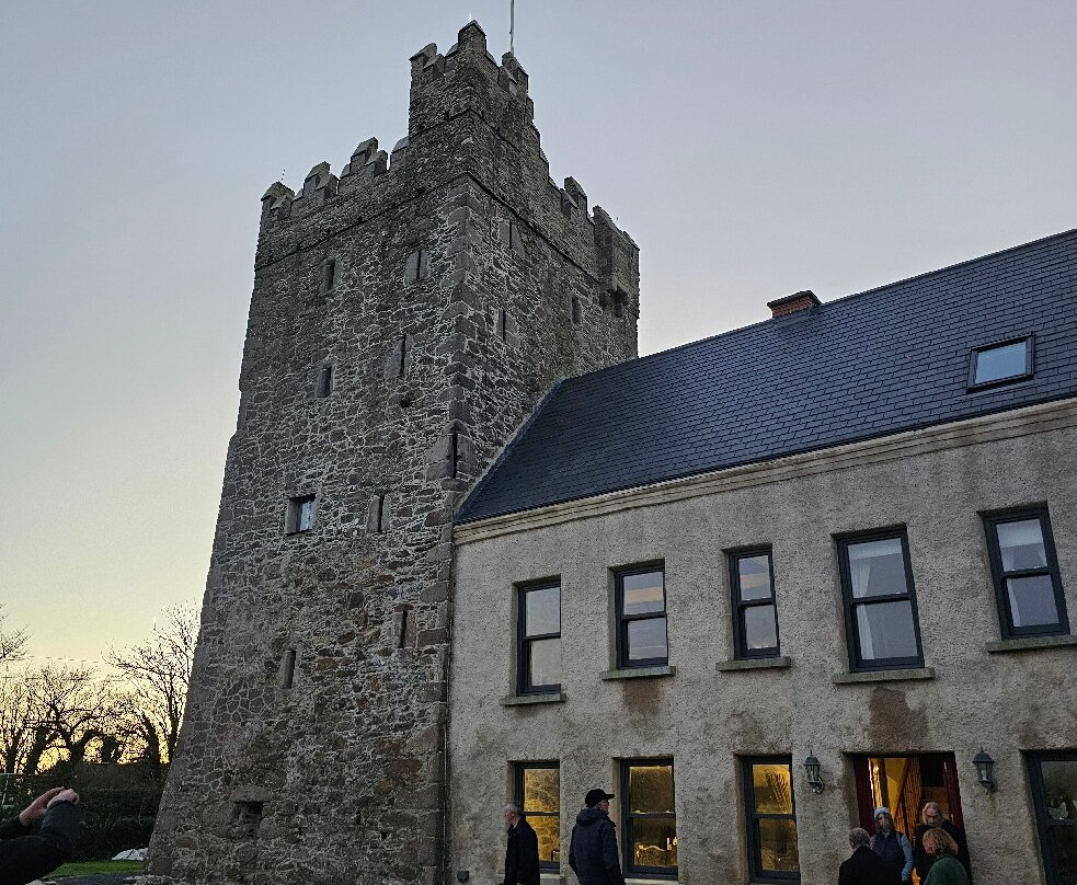 Sigginstown Castle-韦克斯福德必去景点