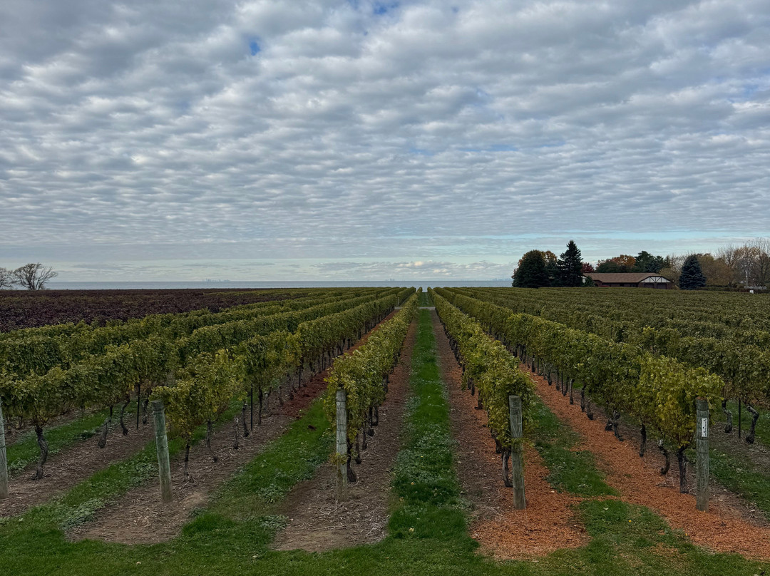 Konzelmann Estate Winery-滨湖尼亚加拉必去景点