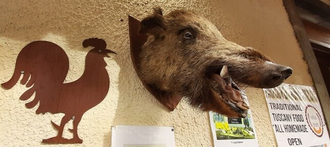 Centro Storico-卡斯特利纳－因基安蒂必去景点