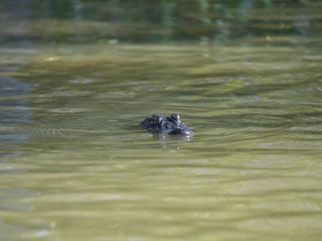 Delta Discovery Tours-Empire必去景点