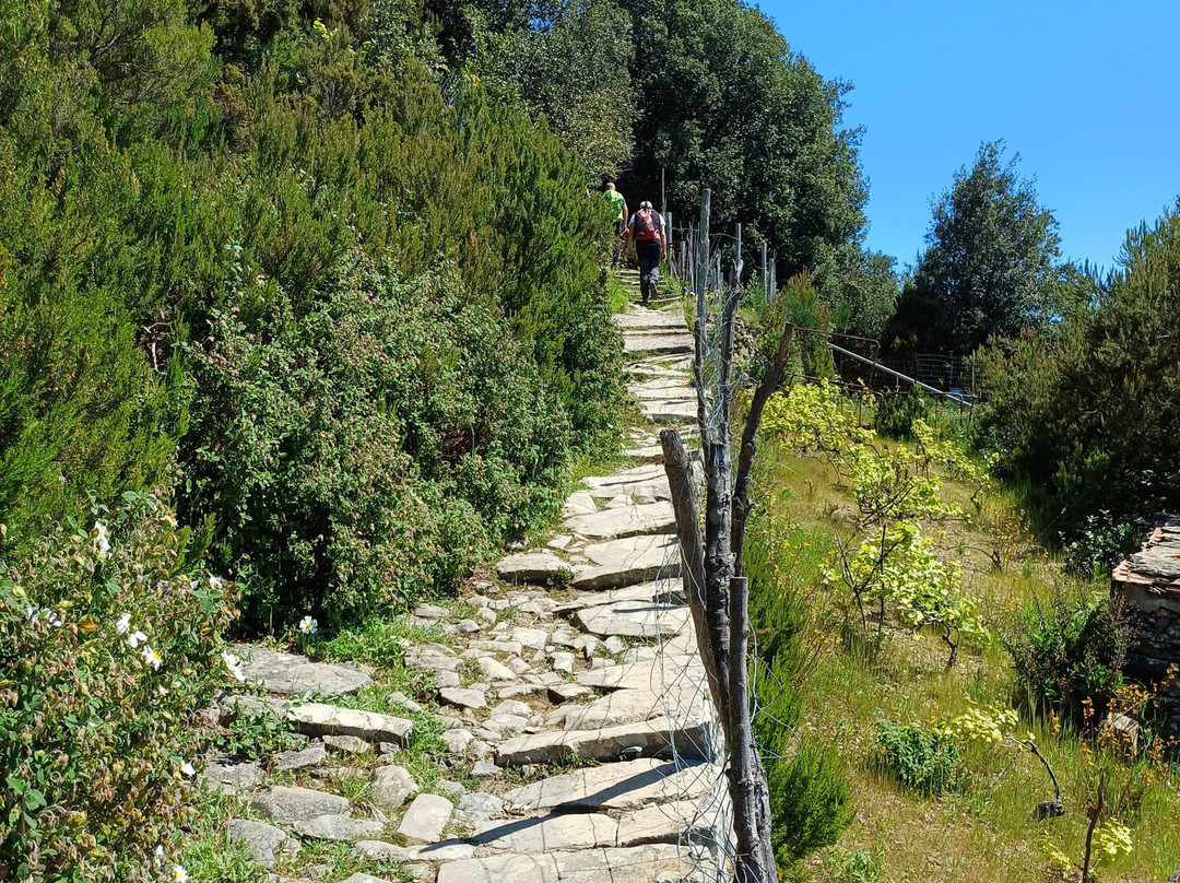 Monesteroli-拉斯佩齐亚必去景点