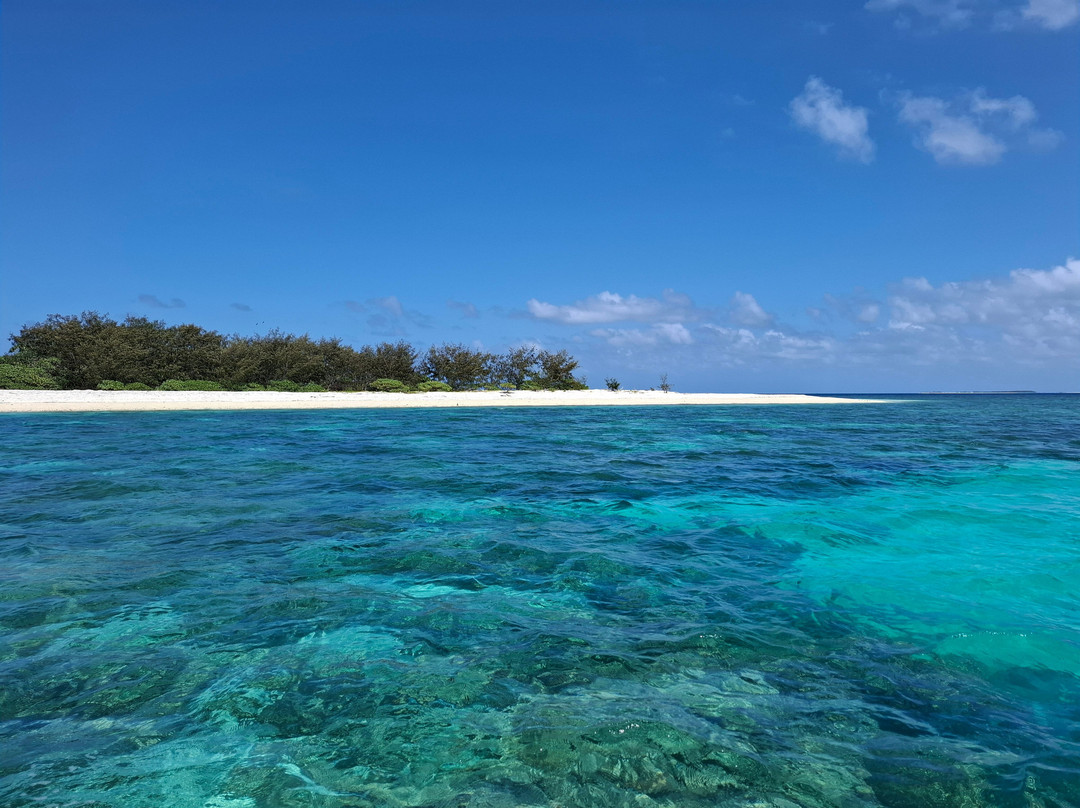 Lady musgrave experience-Burnett Heads必去景点