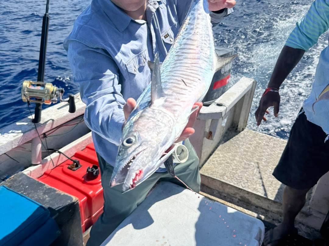 Sigatoka Fishing Charters-辛加东卡必去景点