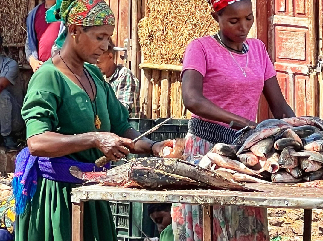 Simien Mountain Tours-Debark必去景点
